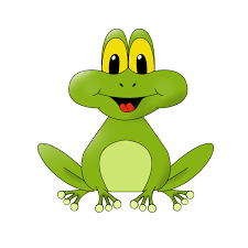 Frog image
